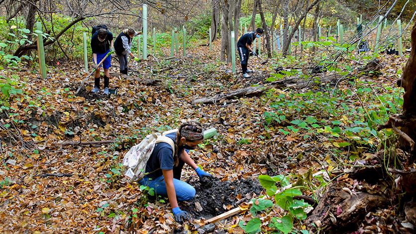 Image of students on Fern Tor Nature Preserve