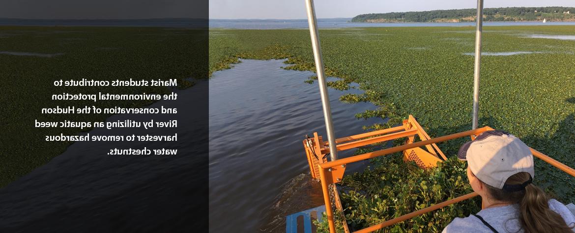 Research Spotlight: Marist students conduct hands-on research with the New York State Department of Environmental Conservation Hudson River Estuary Program and the Hudson River National Estuarine Research Reserve on migratory eels in the Hudson River and changes in eel pigmentation.