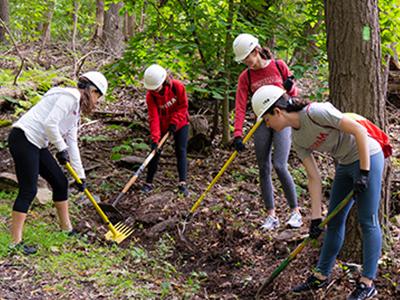 Photo of students volunteering